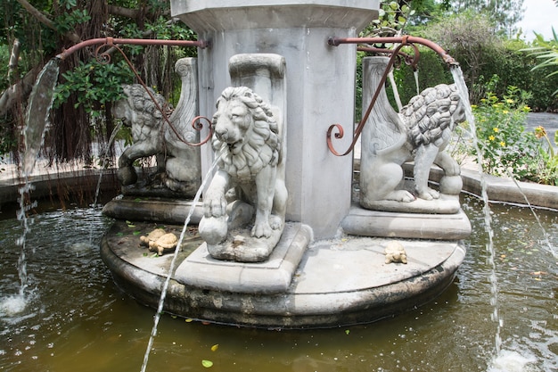 庭のライオンの噴水