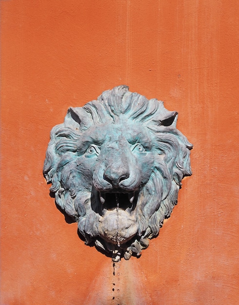 Photo lion head fountain on orange concrete wall