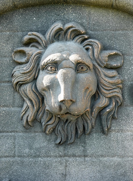 Lion head sculpted in stone