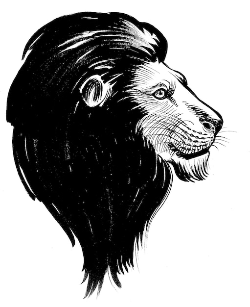 Lion head with black mane Ink black and white drawing