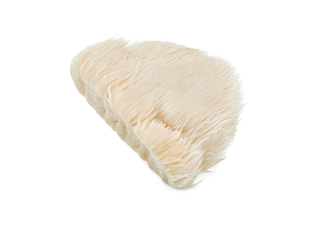 lion mane mushroom isolated on white background.