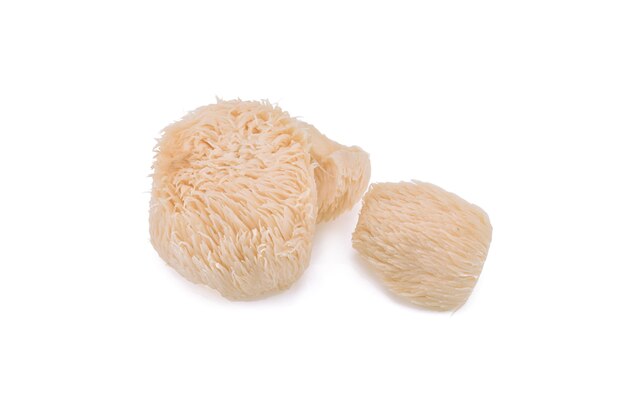 Lion mane mushroom isolated