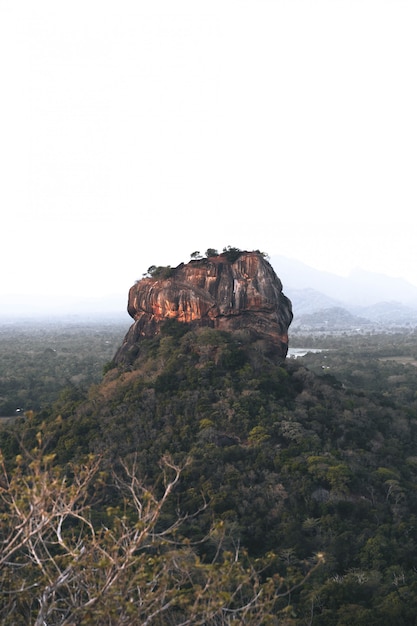 Фото lion rock утром в шри-ланке