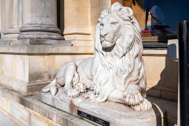 Lion sculpture in beylerbeyi palace istanul turkey