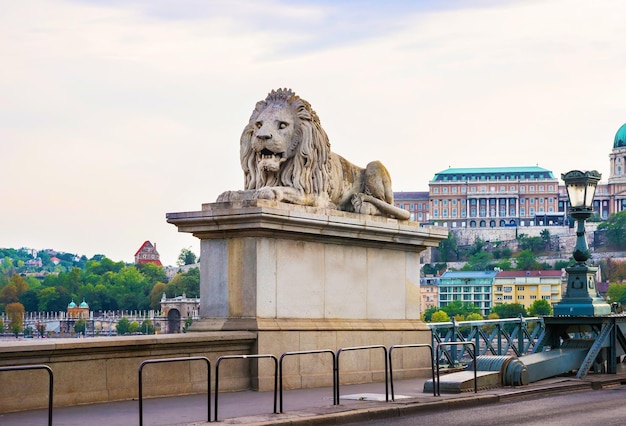 Lion sculpture on the Chain Bridge in Budapest, Hungary