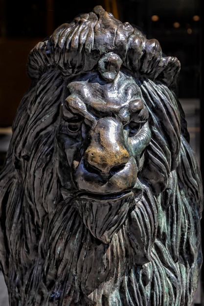 Foto scultura di leone