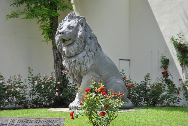 Фото Статуя льва в парке в солнечный день