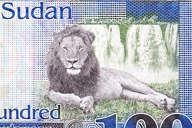 Lion and waterfall from South Sudanese money pound