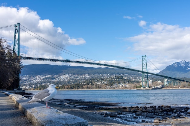 Lions Gate Bridge en Stanley Park Seawall in zonnige dag Vancouver British Columbia Canada