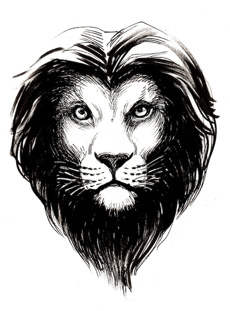 Lions head. Ink black and white drawing