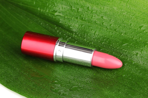 Lipstick on green leaf closeup