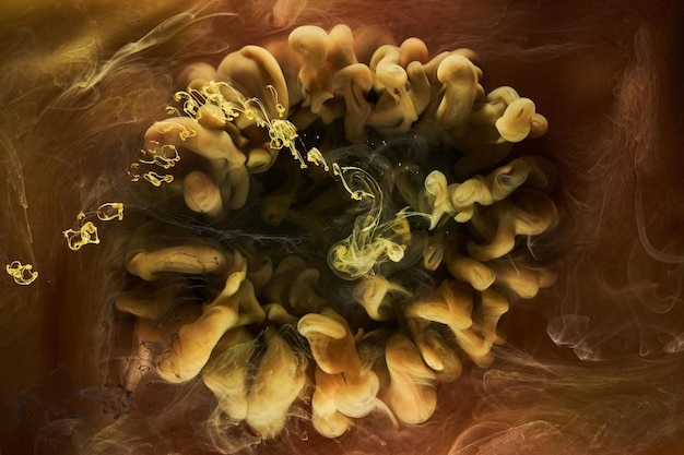 写真 液体流体アート抽象的な背景ダンスアクリル絵の具の黄土色の黄色のミックス水中空間煙海色の爆発