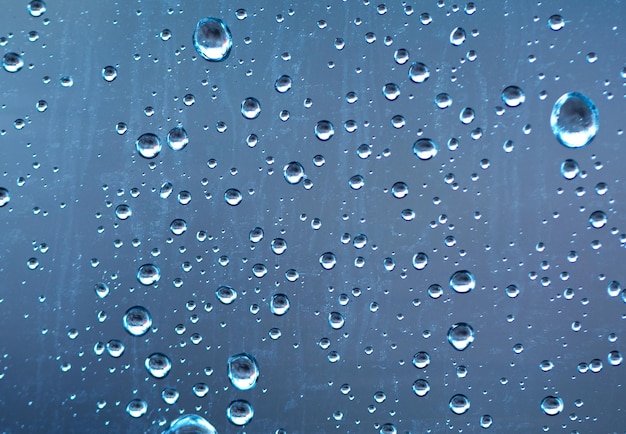 液体のララビー 雨の滴が窓際で踊る