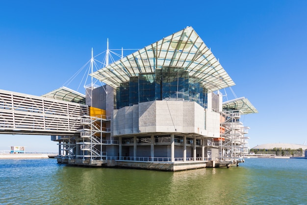  The Lisbon Oceanarium