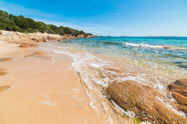 Liscia Ruja kustlijn op een heldere dag Sardinië