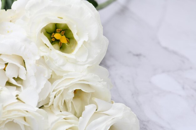 Lisianthus 아름 다운 흰 꽃 배경