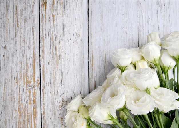Лизиантус Красивый белый цветочный фон