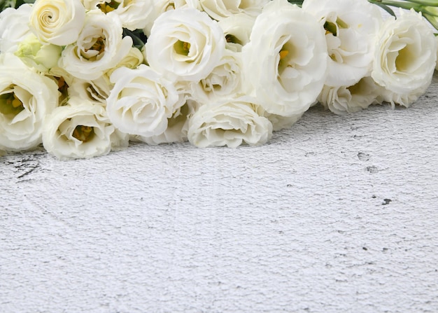 Photo lisianthus beautiful white flower background