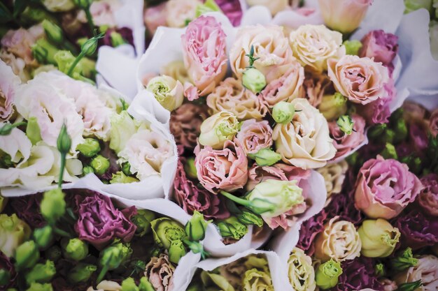 Lisianthus flowers pastel color background