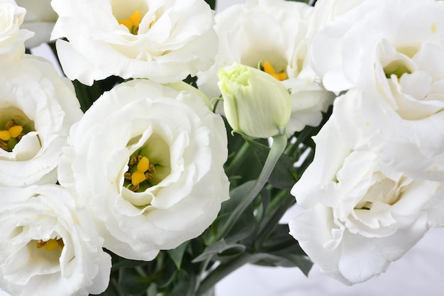 Foto lisianthus mooie witte bloemachtergrond