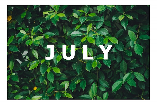 List of calendar months Designed on a natural green leaf background