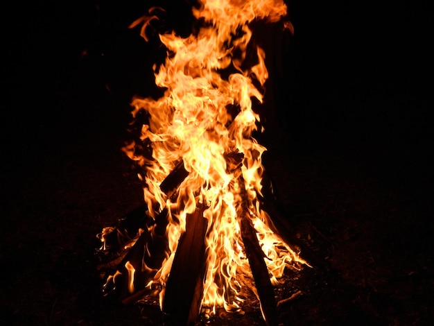 写真 野原で夜に焚き火を点ける