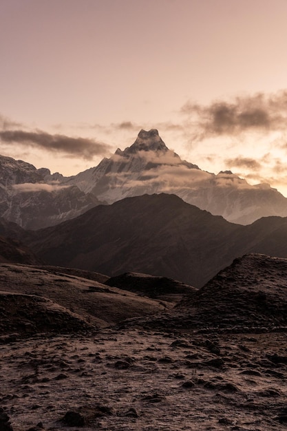 Foto fiori illuminati alberi montagne e mare