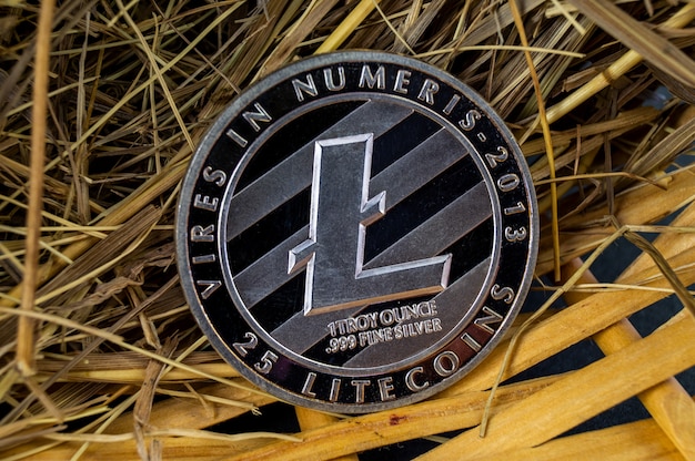 Litecoin is een moderne manier van ruilen