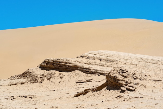 Lithified sand deposits on the background of a sand dune in the desert