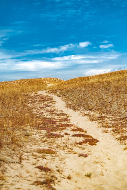 Photo lithuanian dunes