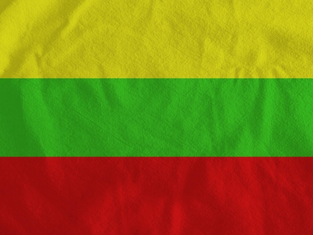 Litouwse vlag