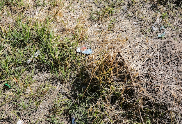 Litter in the nature plastic bottles and packets pollution of\
the environment ecological disaster
