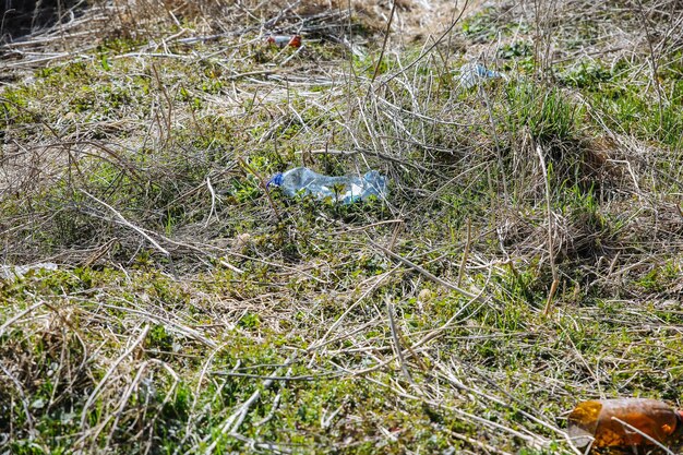 Litter in the nature plastic bottles pollution of the\
environment ecological disaster