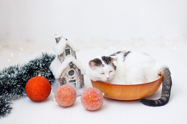 Little adorable cat near Christmas decorations