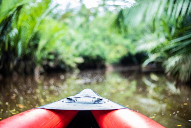 La piccola amazzonia nel fango-nga in sang nae canal tailandia