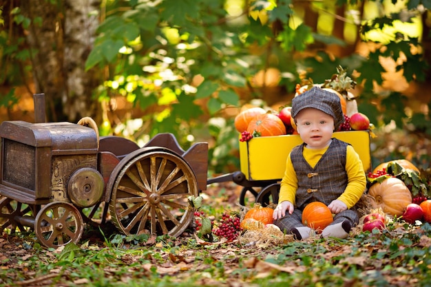 Little baby boy next to cart with pumpkins, viburnum, rowan, apples