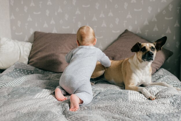 Little baby boy playing with dog on bed