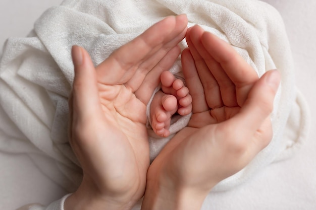 little baby feet in mom's hands. newborn. toes on the background