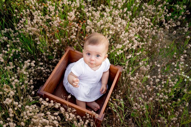Little baby girl sitting among the field grass in a white dress, healthy walk in the fresh air