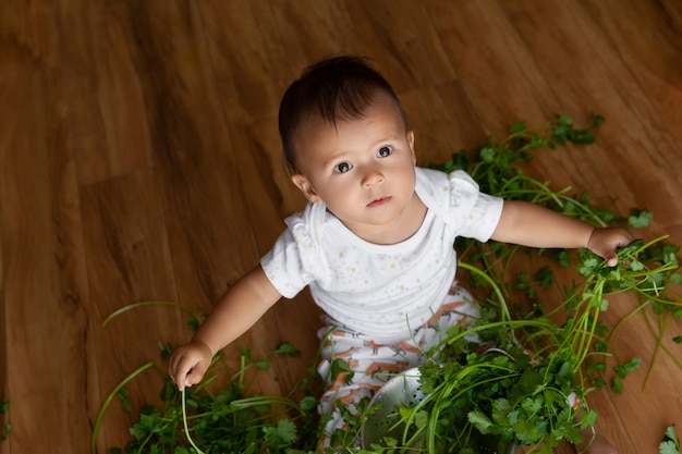 작은 아기 소녀는 바닥에 앉아 녹색 고수로 놀고, 탐험하고 궁금해합니다.