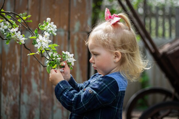 Little baby girl walks in the garden pulling her hand to a blossoming cherry branch.