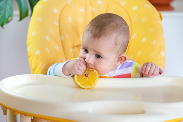 Little baby is eating a lemon. Selective focus. People.