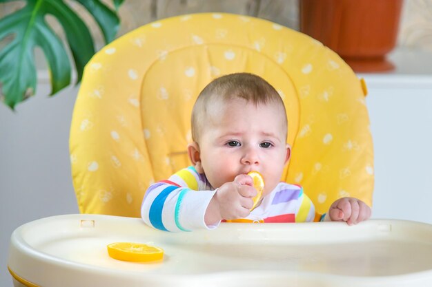 Little baby is eating a lemon. Selective focus. People.