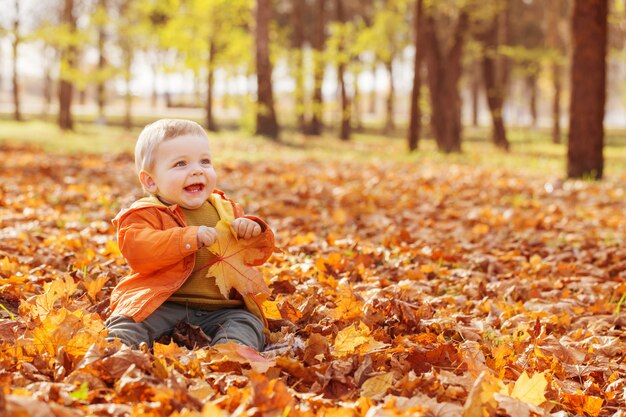 Little baby in sunny autumn park