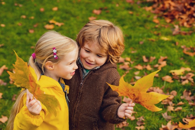 Little beautiful couple on falling autumn maple leaves background kids love concept child friendship...