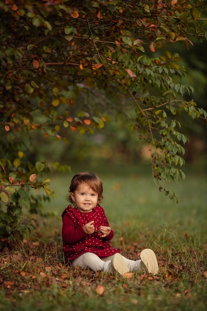 Little beautiful girl in a red dress sits on autumn leaves in the park