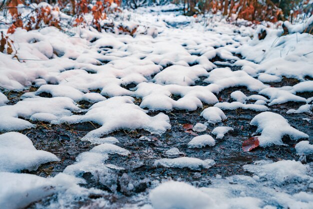 A little bit of snowwhite fluffy snow on transparent small puddles in a sunny winter forest in the picturesque Carpathian mountains