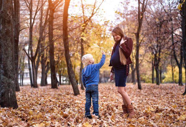 어린 금발 소년은 배경에 임신한 어머니에게 노란 잎 가을 공원을 줍니다.