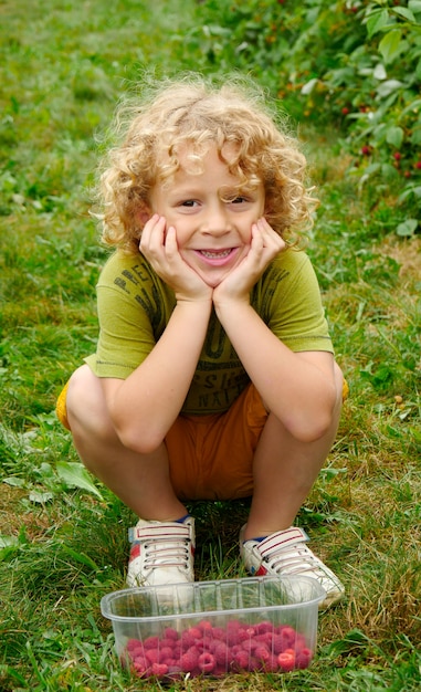 Little blond boy picking raspberries in the garden