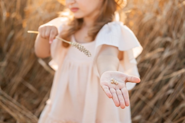 Little blonde girl in beige muslin dress holds wheat grains in the palm of her hand in wheat field